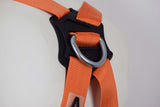 aresta_ar_01024_2_point_harness_with_eeze_klick_buckles_image_3