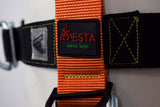 aresta_ar_01024_2_point_harness_with_eeze_klick_buckles_image_5