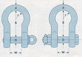 Shackles - US Fed Spec Alloy Steel Bow Lifting Shackles - Screw Pin (Economy) fast shipping - Lifting Slings