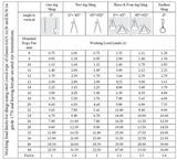 Steel Wire Rope Lifting Slings fast shipping - Lifting Slings